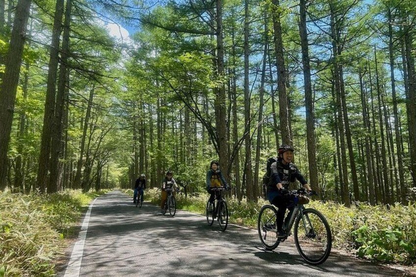 Nikko: Lake Chuzenji Hidden Beach E-Bike Tour with Lunch 3