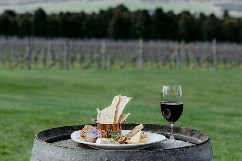 A picnic setup with a plate of food and a glass of red wine on a stone barrel in a vineyard. 2