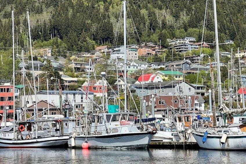 A harbor with multiple sailboats docked, surrounded by residential buildings and a forested hillside. 3