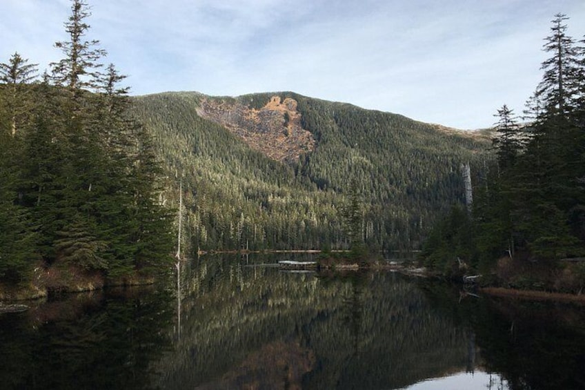 Un lago tranquilo rodeado de un bosque denso y una montaña. 5