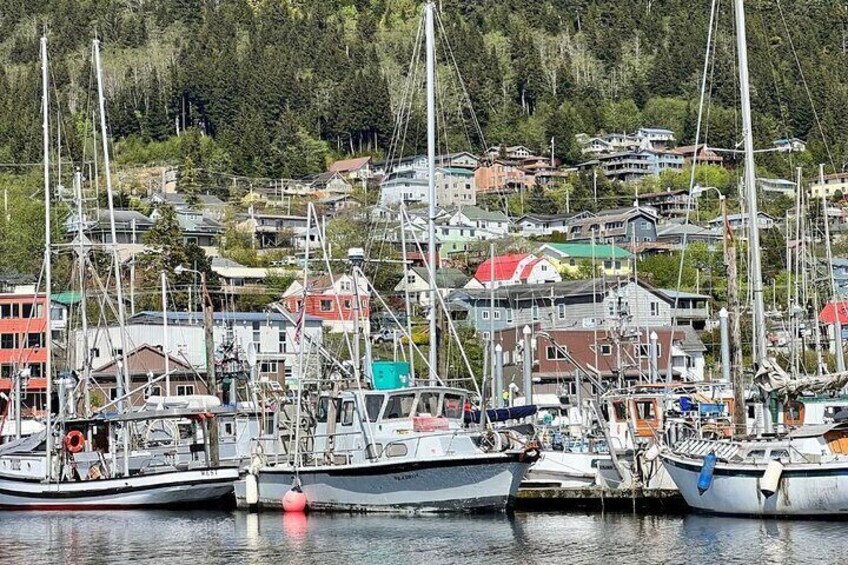 En havn med flere sejlbåde i havn, omgivet af boliger og en skovklædt bakke. 2