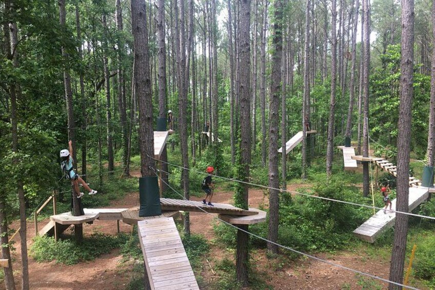 A forest with wooden platforms and ropes for an adventure activity. 3
