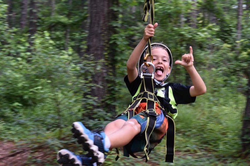 A person on a zip line in a forested area. 4