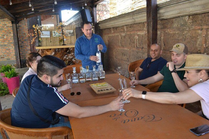 Premium Tour to the Tequila Route with Professional Tasting 5