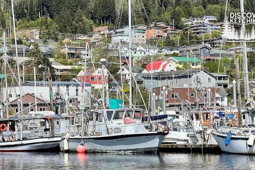 Saxman Native Village & Ketchikan City Tour 2