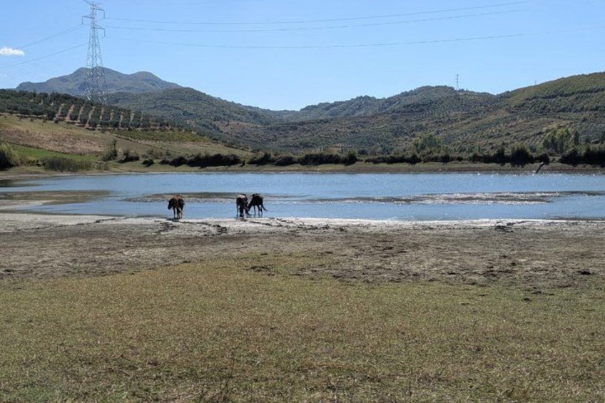 Horseback Riding tour with village and views 2