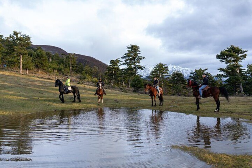 Quatre personnes à cheval dans un champ herbeux, avec un étang et des arbres en arrière-plan. 4