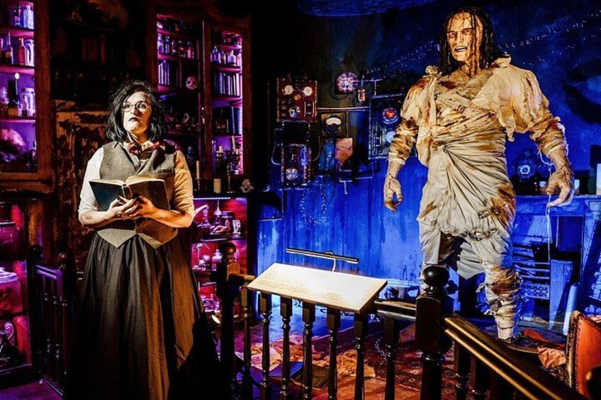 Una persona legge un libro in una stanza con scaffali e una grande statua. 5