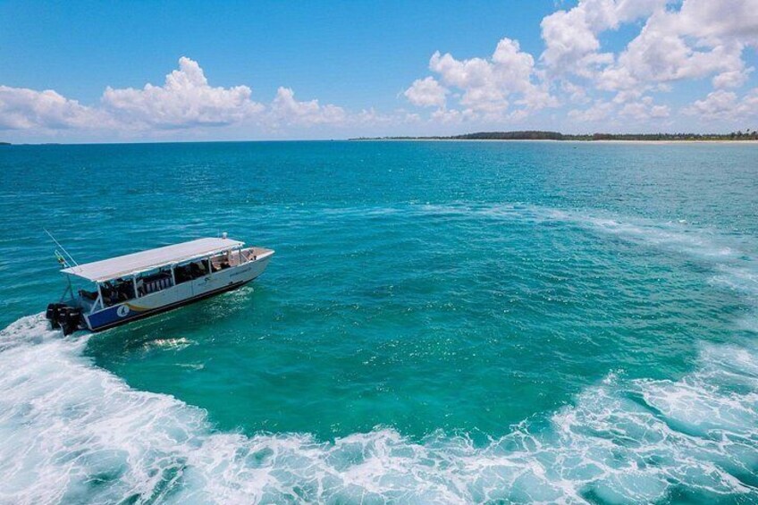Boat Cruise 5