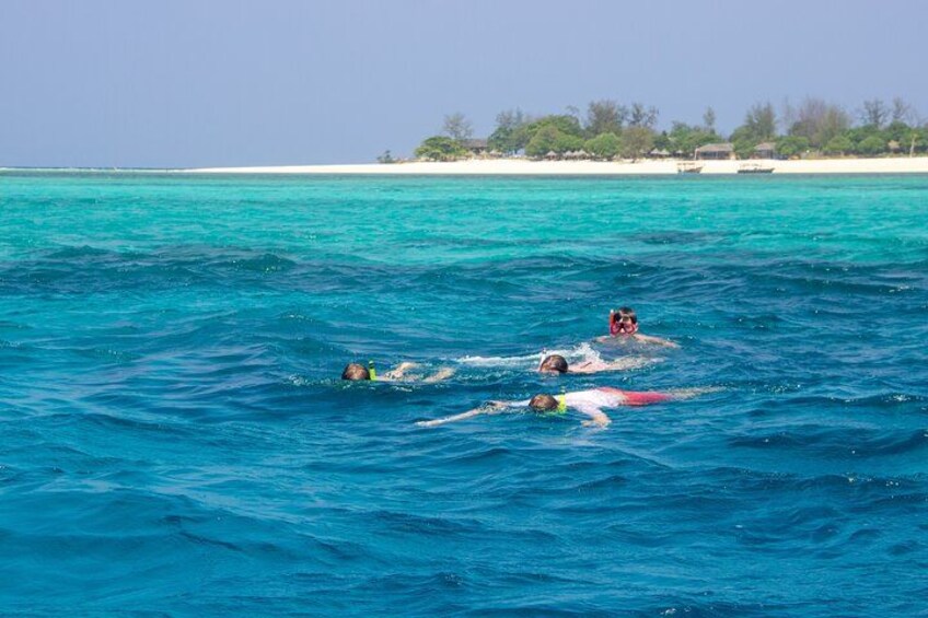 Three people swimming in turquoise ocean water with a beach and trees in the background. 4