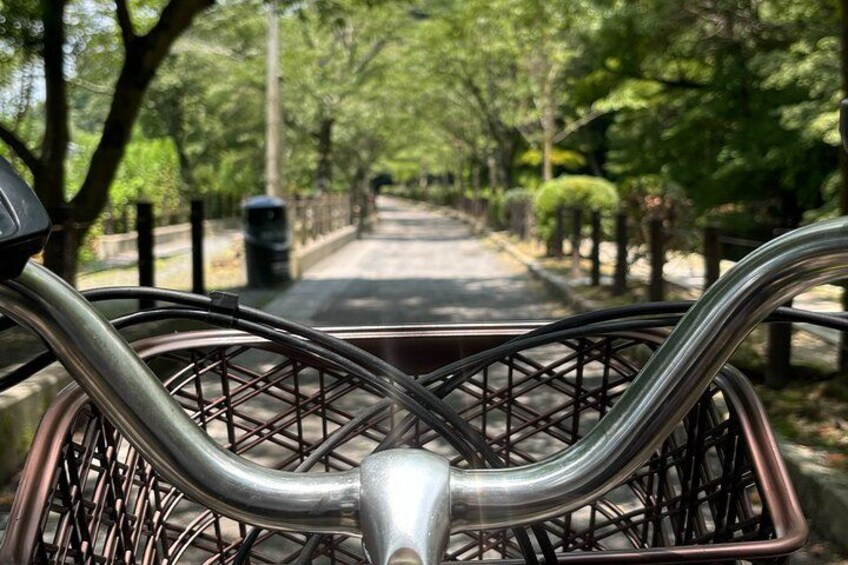 Kyoto: E-Bike Tour - Highlights, Backstreets & Local Secrets 2