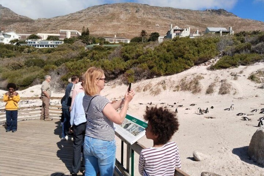 Eine Küstenlandschaft mit einem hölzernen Promenadenweg, Menschen, die Pinguine beobachten, und Gebäuden im Hintergrund. 3