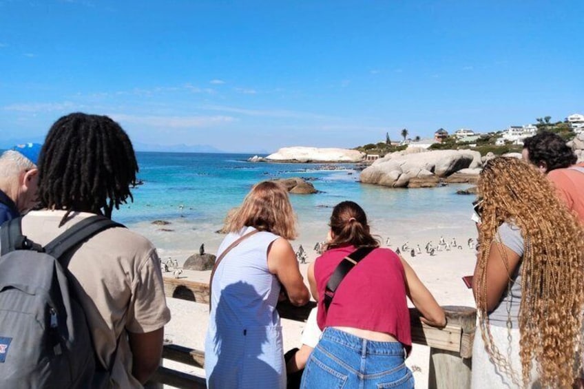 Eine Gruppe von Personen steht auf einem hölzernen Steg am Meer und blickt auf eine felsige Küste mit klarem, blauem Wasser. 5