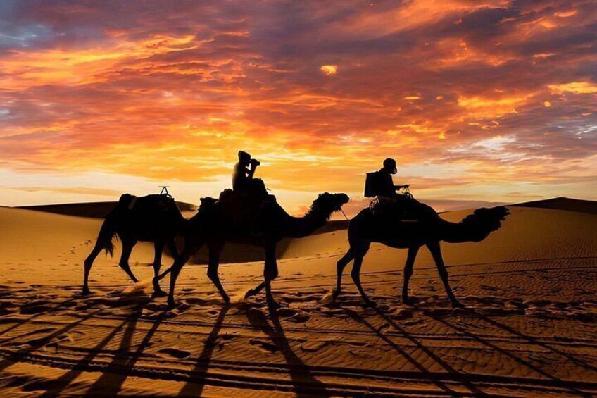 A desert landscape with camels and riders silhouetted against a sunset sky. 5