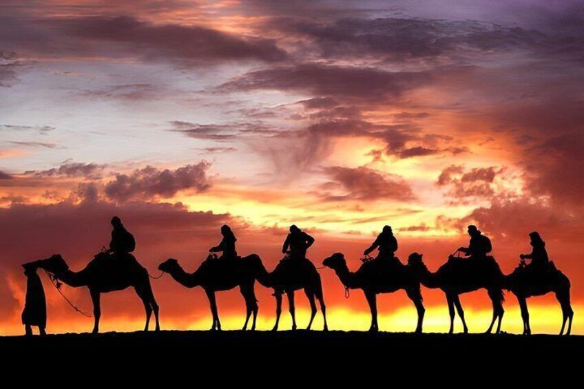 A silhouette of people riding camels against a sunset sky. 4