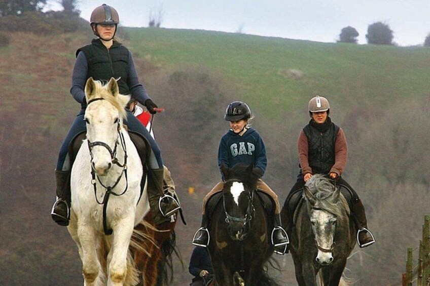 2 Hour Guided Beach and Countryside Horse Riding Outside Westport 5