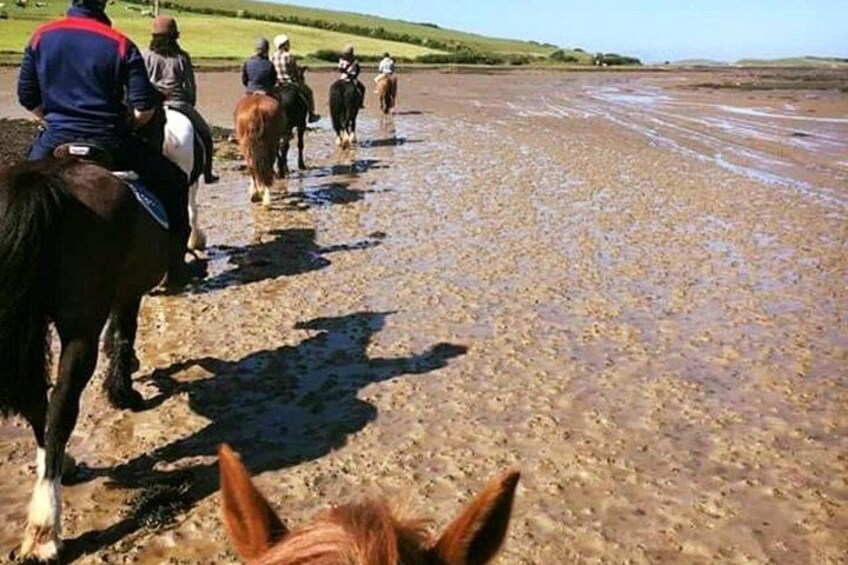 2 Hour Guided Beach and Countryside Horse Riding Outside Westport 3