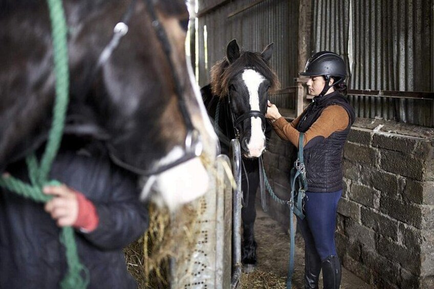 2 Hour Guided Beach and Countryside Horse Riding Outside Westport 2