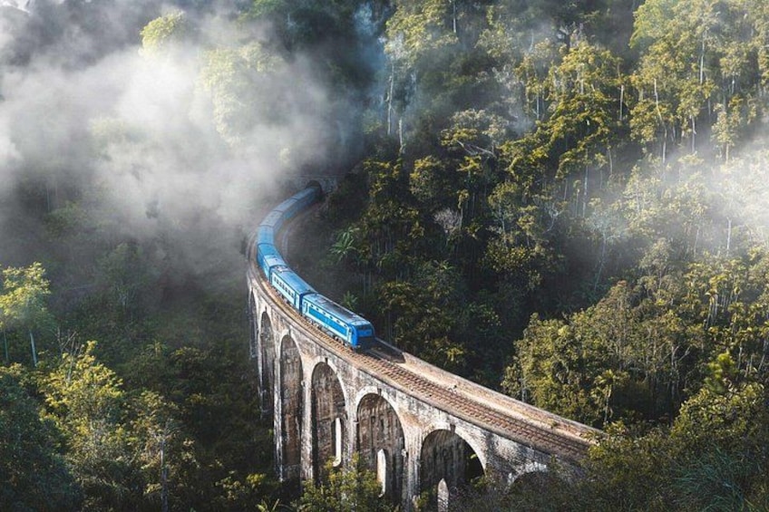 A train on a bridge surrounded by dense forest. 2