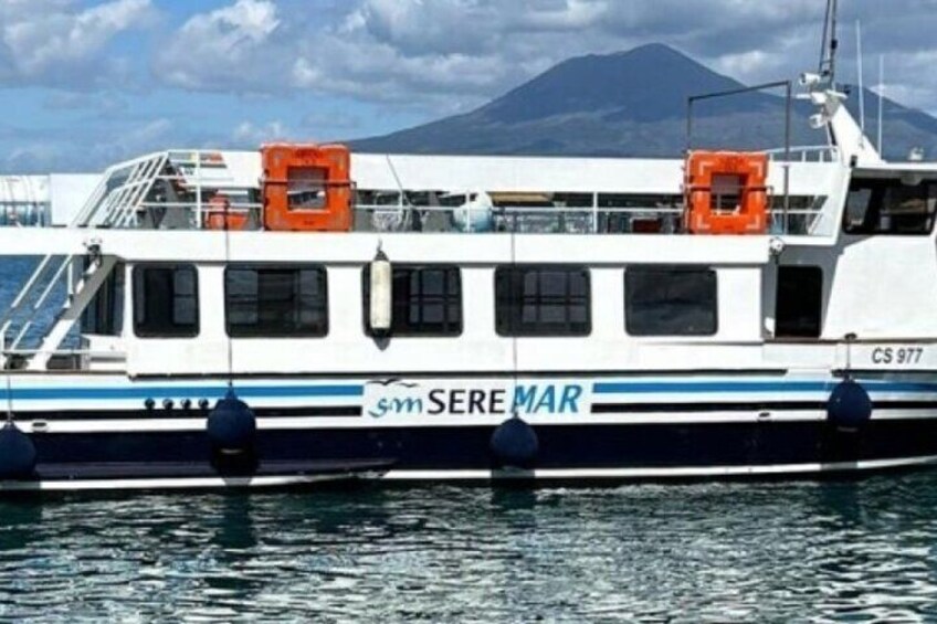 Un ferry blanc et bleu, baptisé « SERE MAR », avec des canots de sauvetage orange et un paysage montagneux en arrière-plan. 4