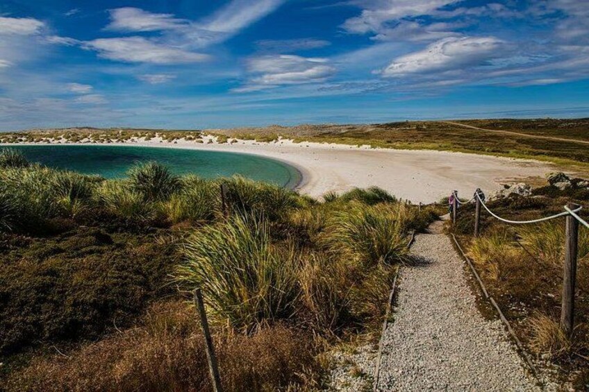 Et kystlandskab med en bugtet strand, en grussti ned til vandet og sparsom vegetation. 2