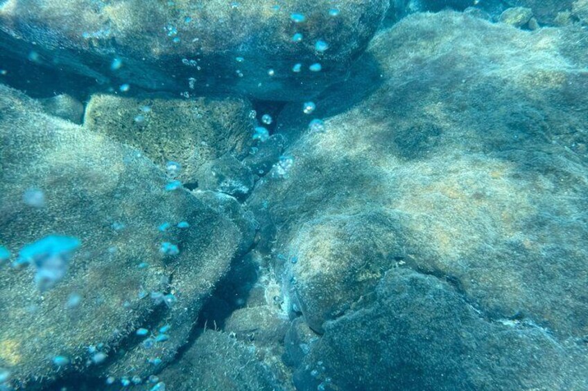 Volcano Island Private Boat Tour from Lipari/Volcano 4/8h 3