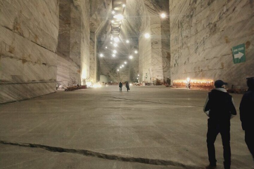 Bison Reserve and Salt Mine Europe's top Attractions Day Trip 3