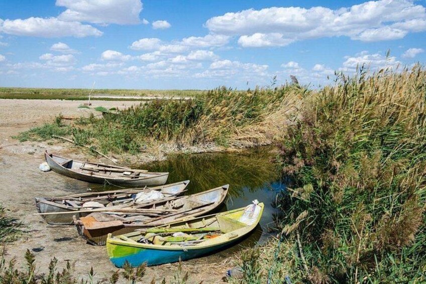 Un argine fluviale con diverse imbarcazioni, alcune ormeggiate a riva, e alte erbe lungo la riva dell'acqua. 3