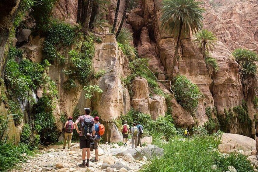 Hikers on a rocky trail with palm trees and red rock formations. 1