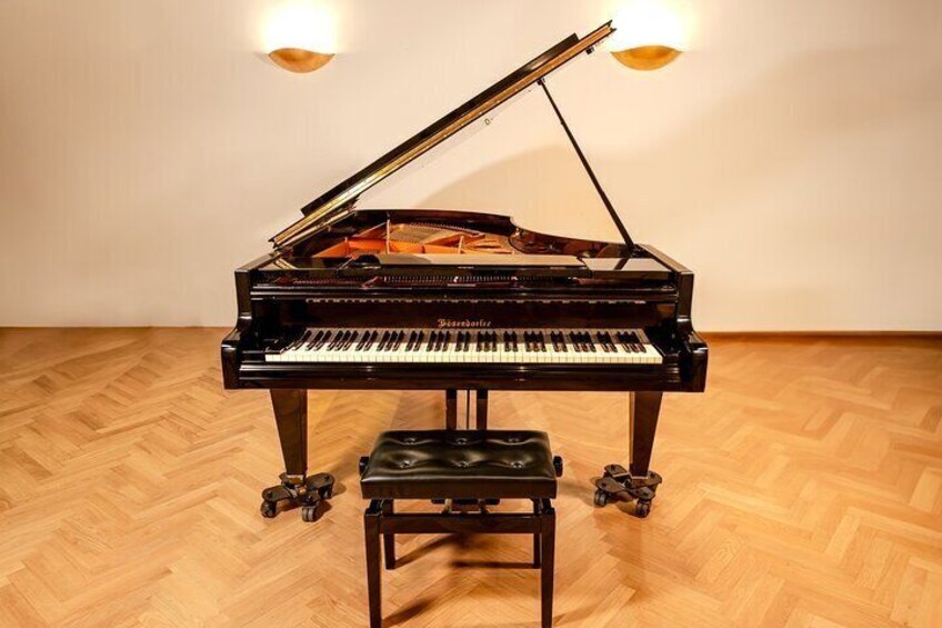 Un piano de cola con un banco, dos lámparas y un piso de parquet de madera. 4