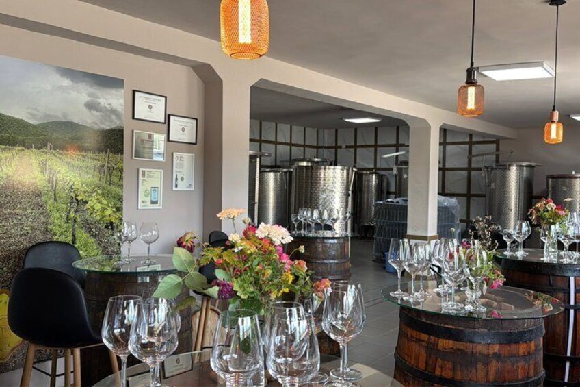 Wine Tasting Winery Kantina Vreshti I Pashait-Permet 2