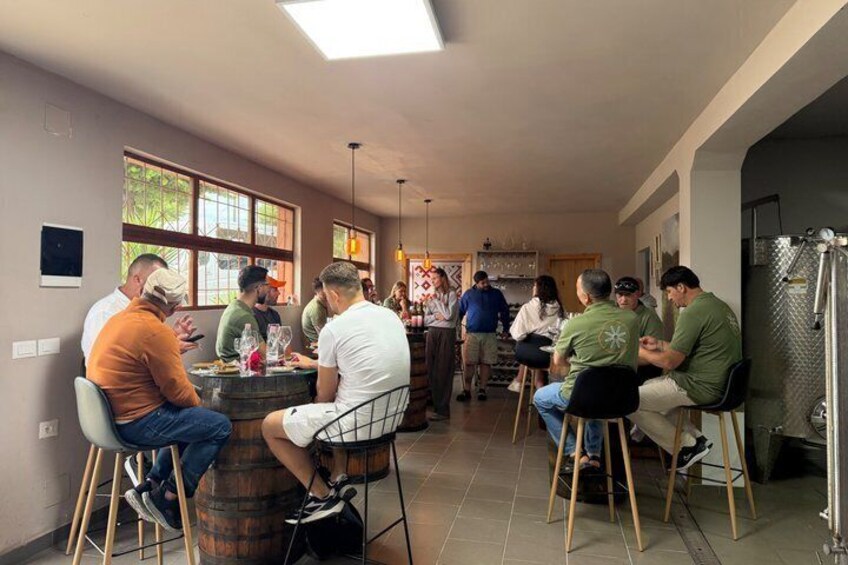 Wine Tasting Winery Kantina Vreshti I Pashait-Permet 5