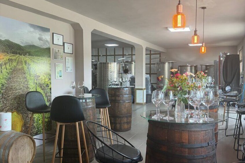 Wine Tasting Winery Kantina Vreshti I Pashait-Permet 3