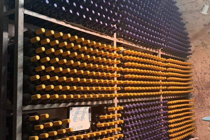 Përmet: Vreshti i Pashait Wine Tunnel Tour & Tasting 2