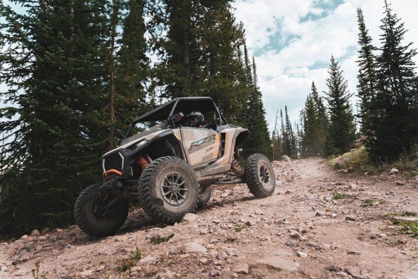 UTV Wilderness Experience in The Uinta Mountains (2 Seat RZR) 4