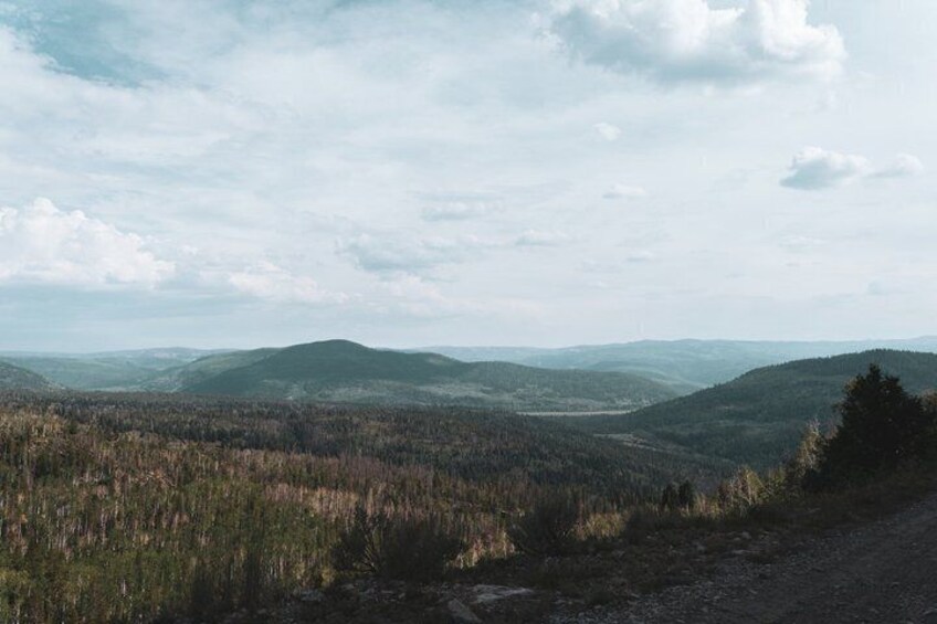 UTV Wilderness Experience in The Uinta Mountains (2 Seat RZR) 2