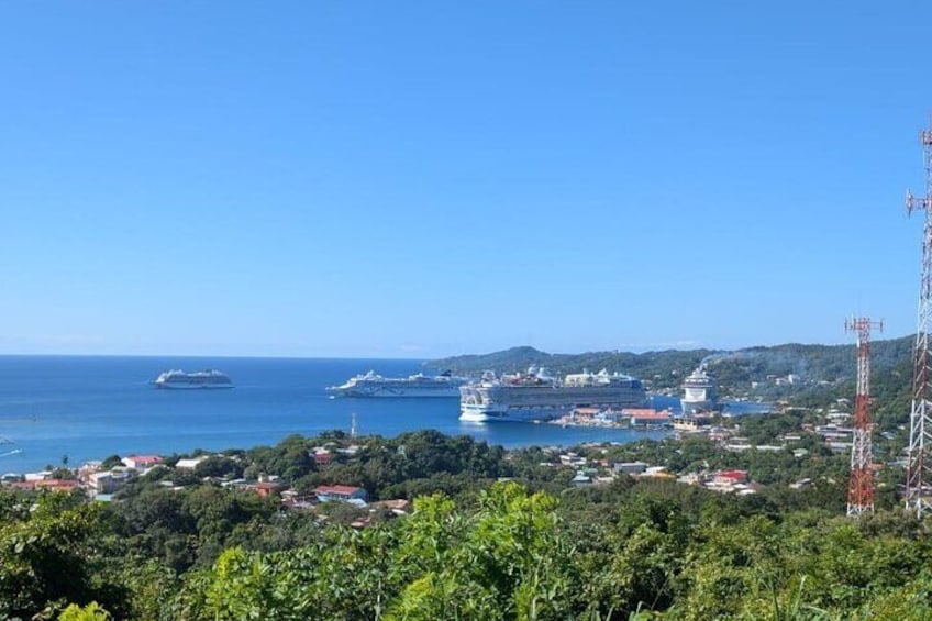 Une ville côtière où des navires sont amarrés dans un port, entourée de verdure et de collines. 5