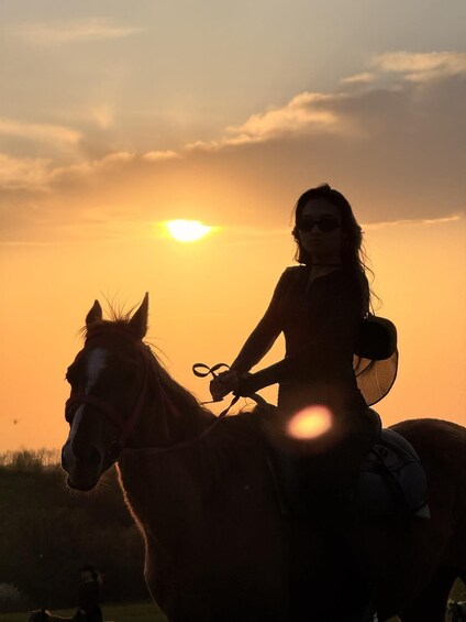A person riding a horse during sunset. 5
