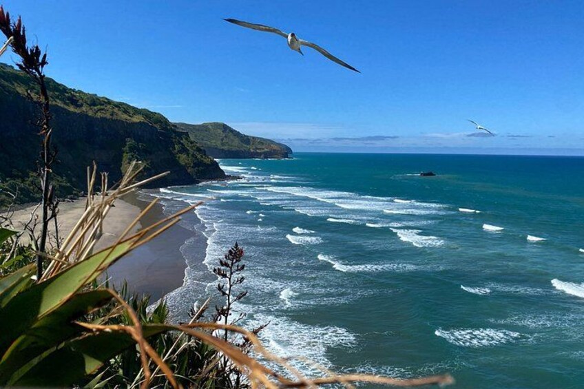 View over Maukatia Bay 1