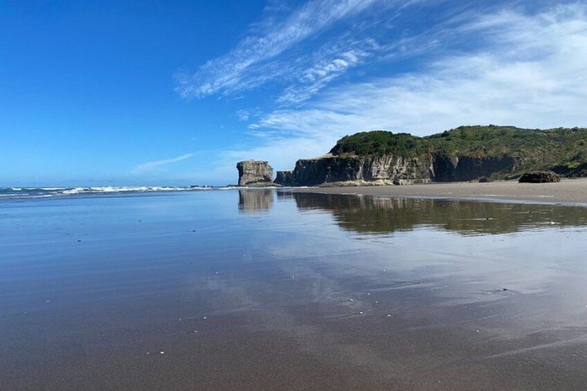 Black Sand Beaches & Birds Auckland Sightseeing Tour 4
