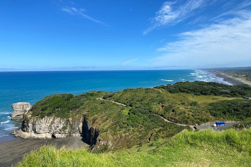 Black Sand Beaches & Birds Auckland Sightseeing Tour 3