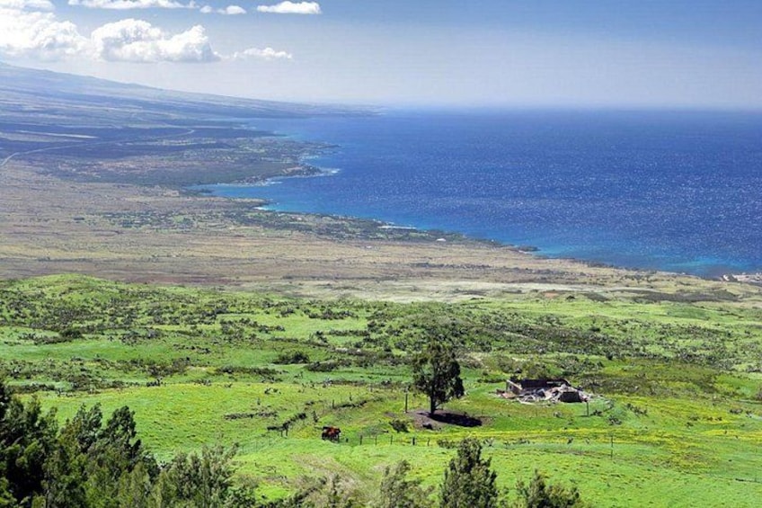A coastal landscape with green fields, a tree, and a small structure. 2