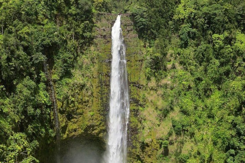 A waterfall surrounded by dense green forest. 4
