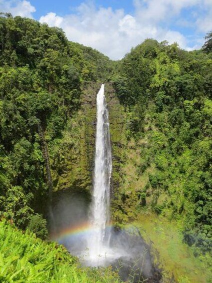 A waterfall surrounded by lush greenery. 3