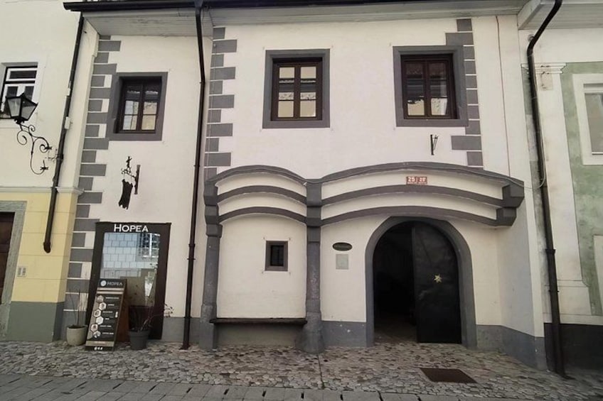 Lake Bled and Radovljica Old Town Full Day Tour from Koper 3