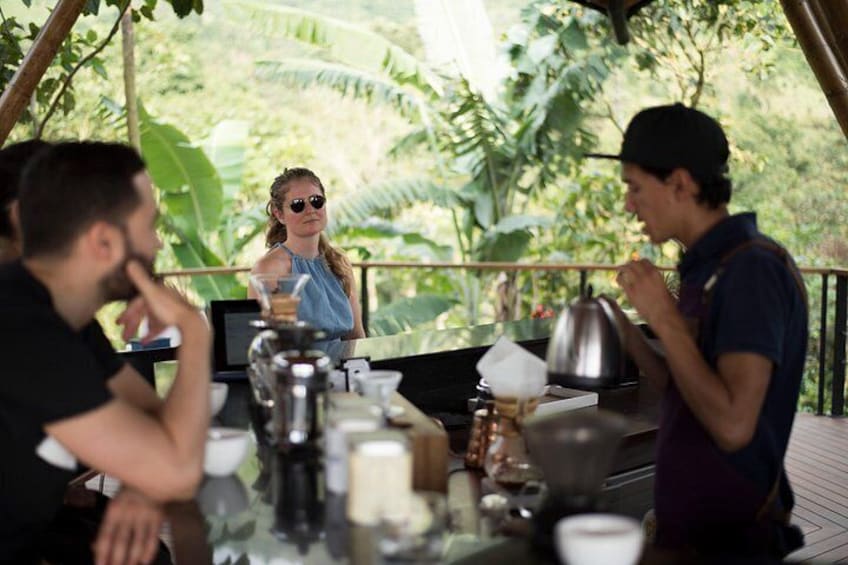 Coffee Tour from Bogota at La Palma Plantation and El Tucan 3