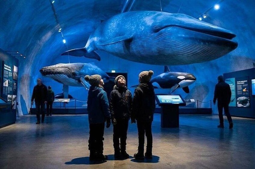 Explore Reykjavik & the Icelandic Landscape: A Self-Guided Tour 2