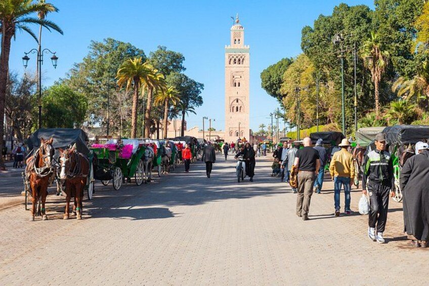 Marrakech Private Tour Check-out from Rabat with Licensed Guide 4