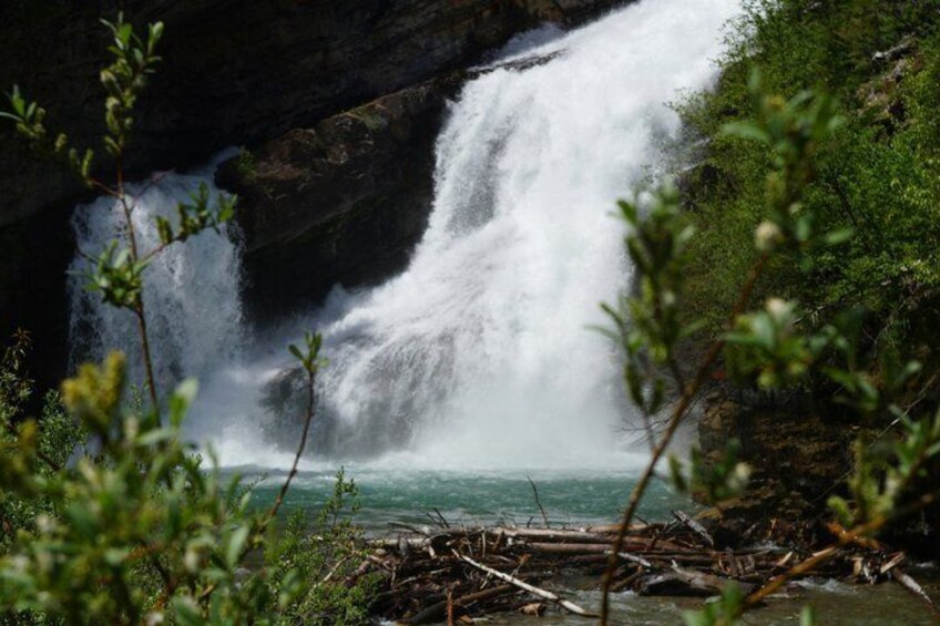 Waterton National Park Full-Day Private Tour From Calgary 4