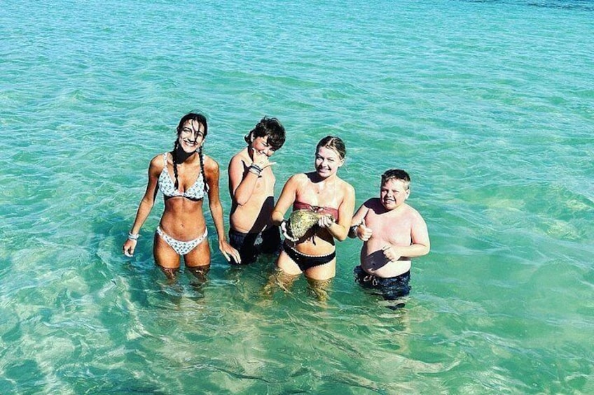 Anna Maria Island Dolphins & Beginners Snorkeling Adventure 4Hrs 3